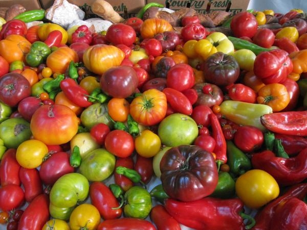 picture of colorful tomatoes and peppers in a pile