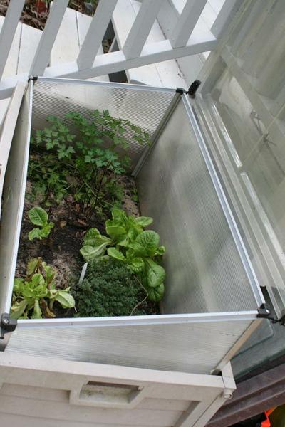 cold frame around small raised bed with top open