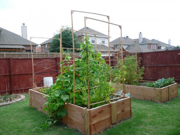 16 Vegetable Garden Ideas for Your Backyard