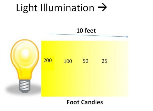 diagram showing light illumination decreasing significantly from next to artificial light to 10 feet away