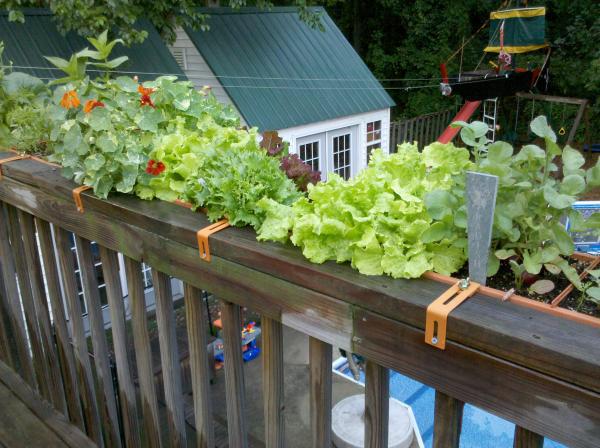 outdoor containers along fence railing