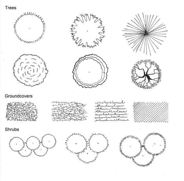 examples of drawn symbols to represent trees, groundcovers and shrubs