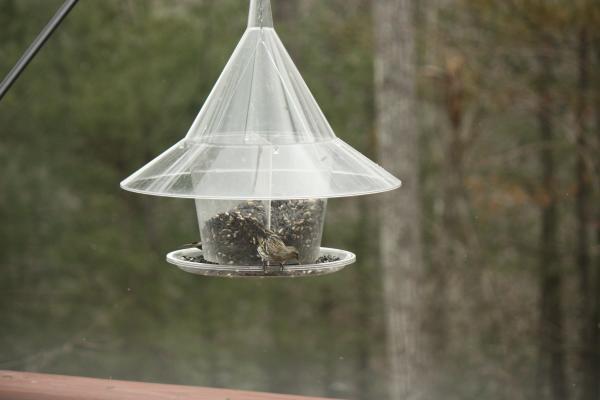bird feeder with roof designed to keep out squirrels