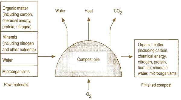 A diagram of how raw materials become compost