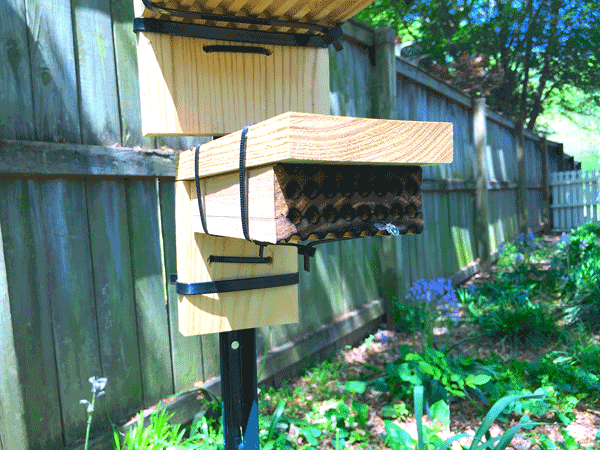 Thumbnail image for What is a Bee Hotel?
