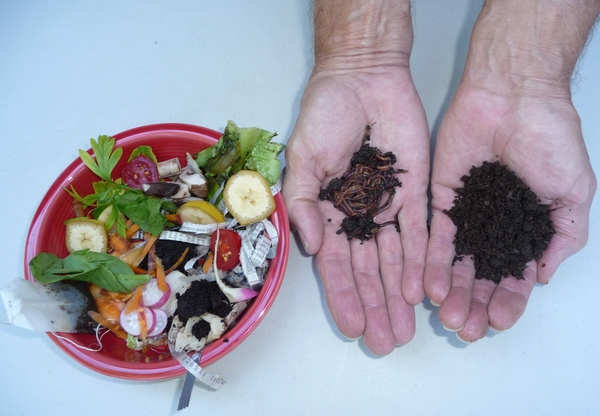 Bowl of compost vegetables next to hands holding worms and finished compost
