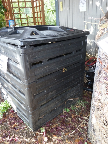 Black plastic compost bin.