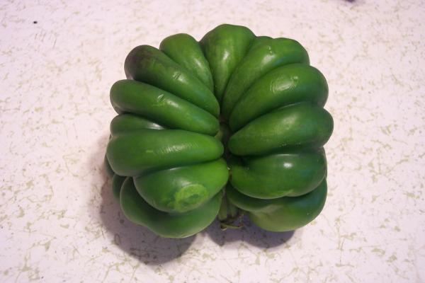 Green pepper with distorted shape