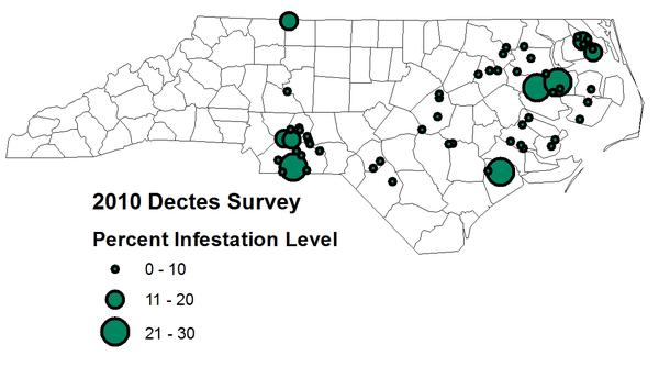 Shows hot spots of Dectes infestations in North Carolina