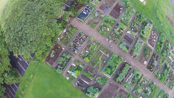 arial view of spaced rectangle garden beds