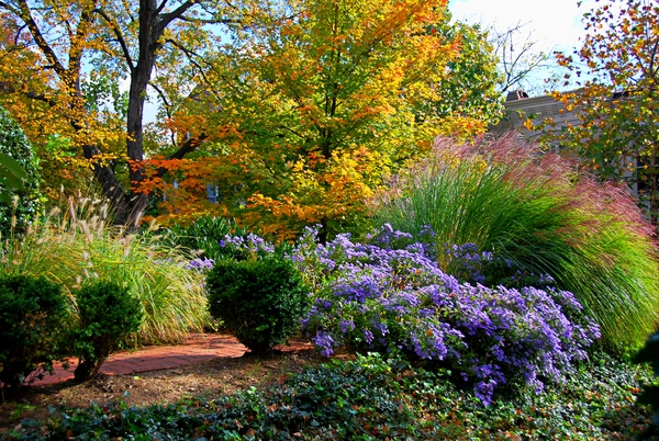 Garden with fall colors on leaves and flowers