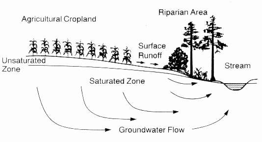 Illustration with labeled areas: unsaturated zone, agricultural cropland, surface runoff, riparian area, stream, saturated zone and groundwater flow