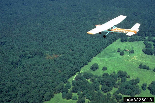 A plane flying over forest; small clump of red trees in an otherwise green forest.