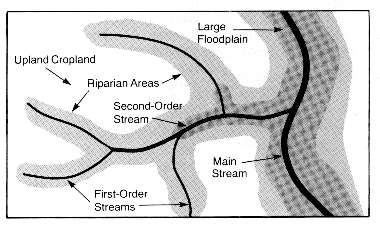 Illustration with labels for upland cropland, riparian areas, large floodplain, second-order stream, main stream, and first-order streams