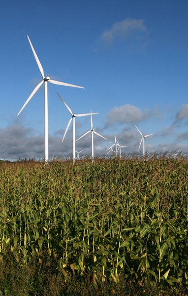 Maple Ridge Wind Farm