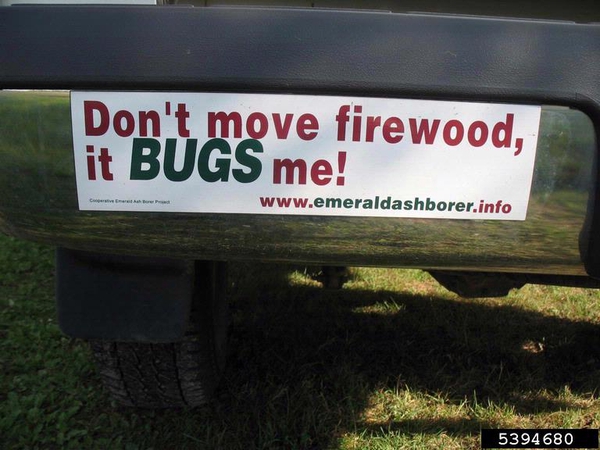 A bumper sticker that says "Don't move firewood, it BUGS me!"