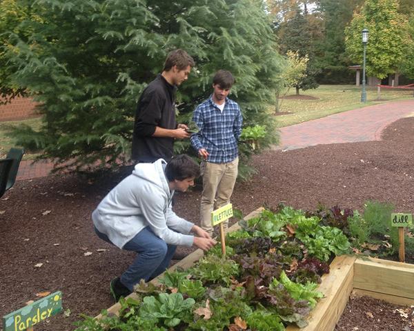 3 people look at raised garden bed.