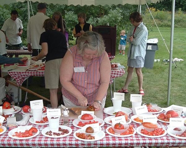 A person cuts up different tomatoes at an outdoor event