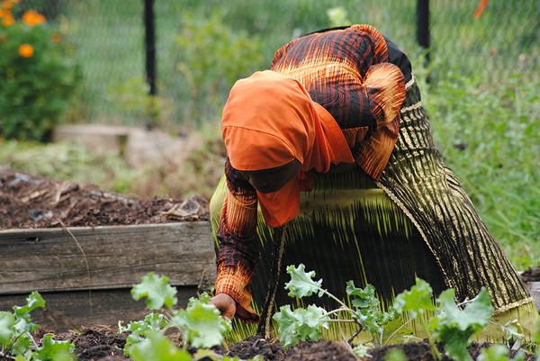 Person wearing bright orange head covering leans over garden bed