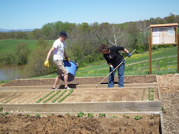 One gardener holds large blue bucket and one used long-handled tool