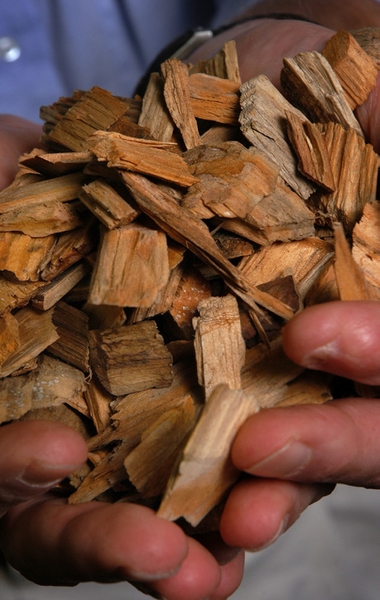 CNR's Steve Kelley holds a handful of wood chips used in creating biofuel.