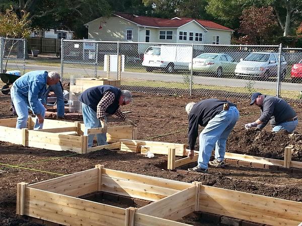 People building wooden sides of raised beds