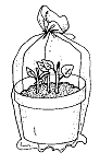 Drawing of a potted plant covered with clear plastic
