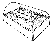Figure 2. Plastic trays covered with clear plastic stretched ove