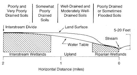 cross section of soil-wetness relations in the lower coastal plain. Two areas of wet soils are indicated: riparian wetland and interstream divide