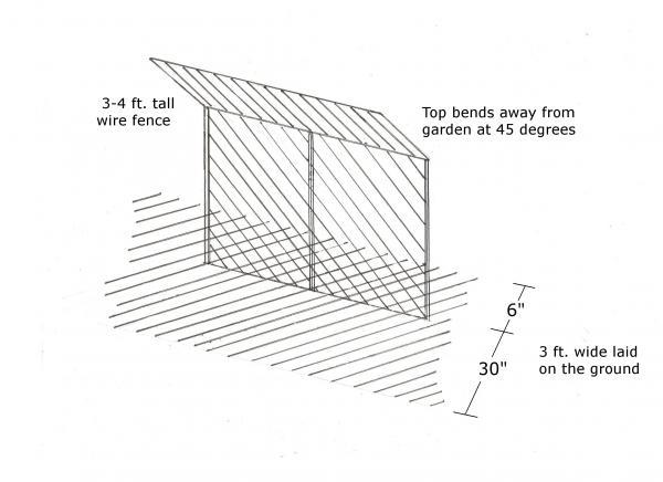 sketch of groundhog fence proportions