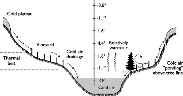 Slopes allow cold air to concentrate in low lying areas and above tree lines.