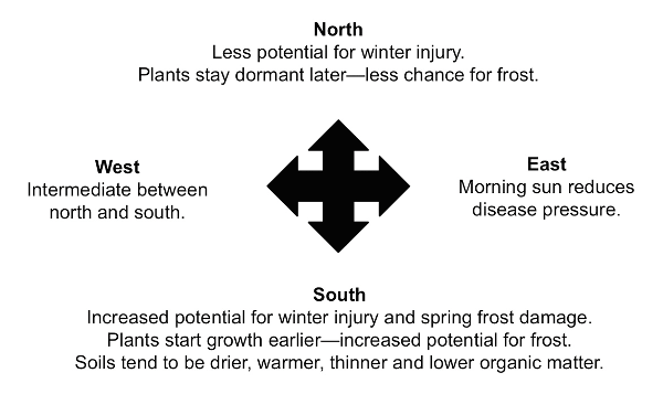 North: less potential for winter/frost injury. East: reduced disease pressure. South: higher potential for winter/frost damage. West: between north and south.