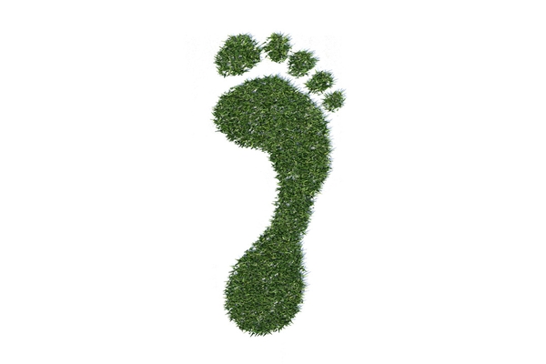 Image of a grassy footprint.