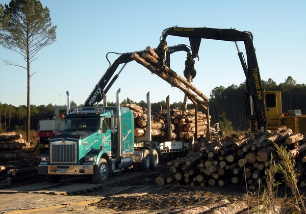 Decorative image of timber being loaded onto large truck