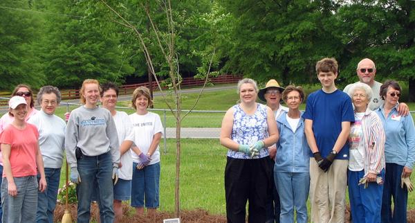 Photo of volunteers planting trees in Davie County