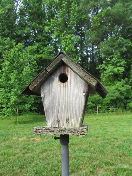 Photo of a bird house