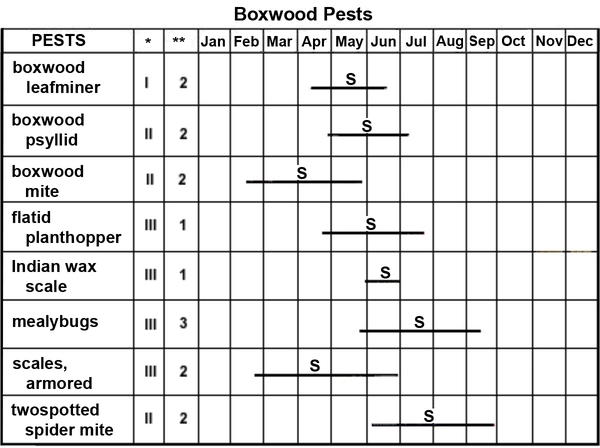 Thumbnail image for Boxwood Pest Management Calendar