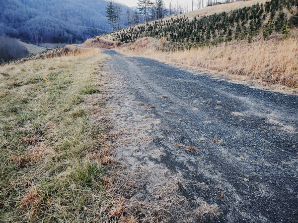 Image of a gravel road between Christmas tree fields designed with rises and dips that slow and gently divert water to a rock-lined ditch on the uphill roadside