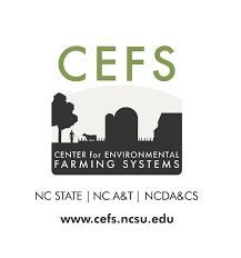 CEFS Logo