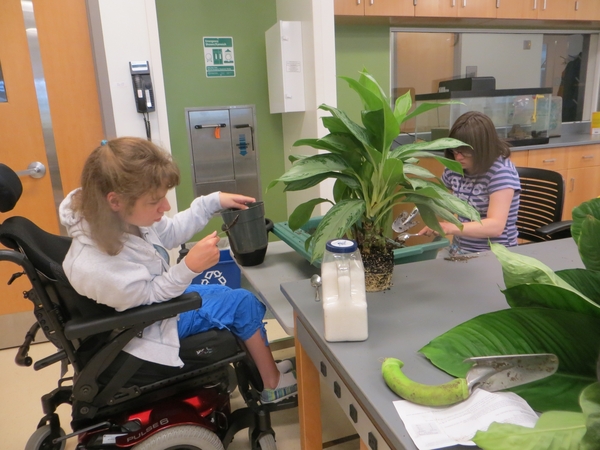 Two students working with potted plants in a lab. One is in a power wheelchair