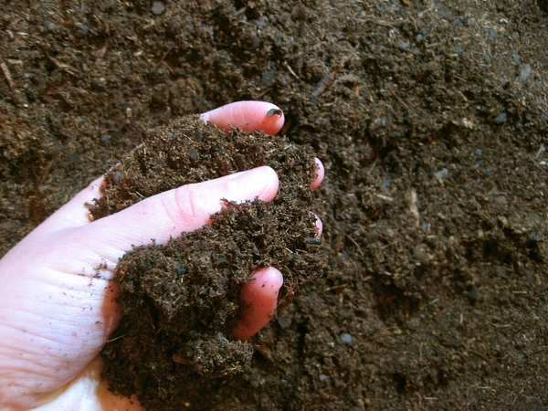 A handful of dark loamy soil
