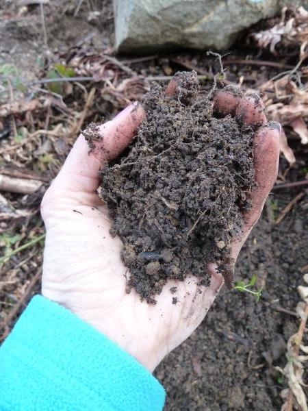 Preparation of soil mixture from fertile compost, humus and vermiculite on  black garbage bag floor in garden. Mixing the soil components for the  preparation of the substrate for transplanting plants. Stock Photo