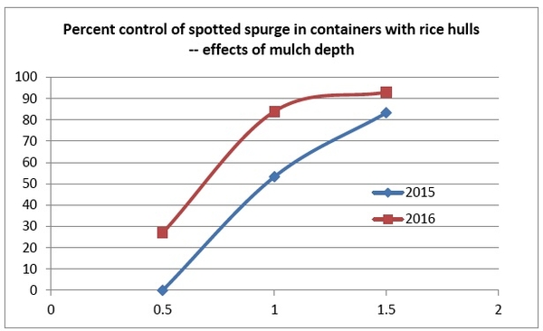 Line graph shows Percent control of spotted spurge in containers with rice hulls -- effects of mulch depth