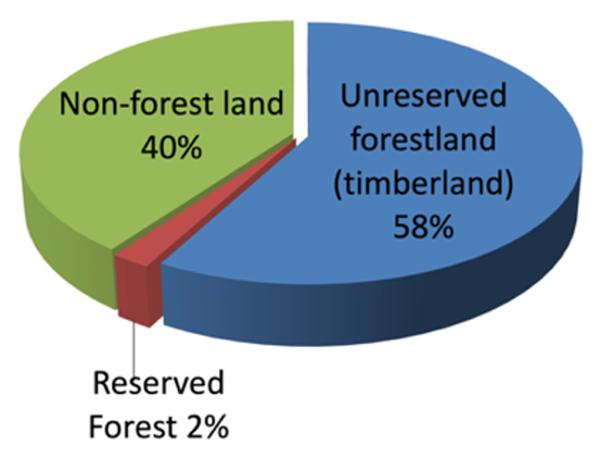 Pie chart showing 40% Non-forest land, 58% Unreserved forestland (timberland), and 2% Reserved Forest