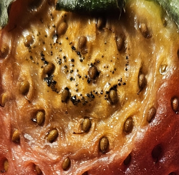 Tiny black spots on skin of strawberry fruit