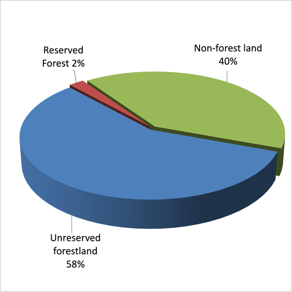 Thumbnail image for 2023 Income of North Carolina Timber Harvested and Delivered to Mills