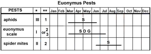 Euonymus Pest Management Calendar