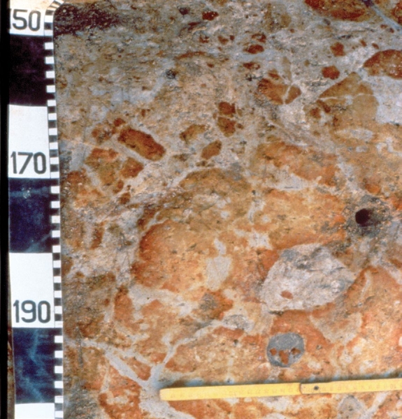 Close-up horizontal section of mottled soil showing gray Fe depletions and darker iron masses with a depth scale on the left.