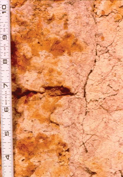 Close-up of a soil profile with a ruler on the left, showing tan soil with orange and brown patches and visible cracks.