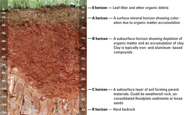 Cross-section view of soil showing layers and sublayers.